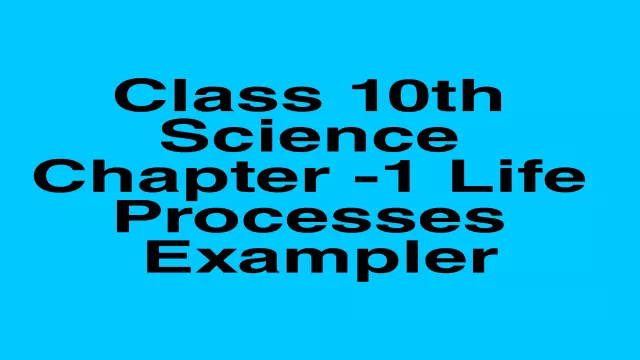 Class 10 science ch 1 life Processes